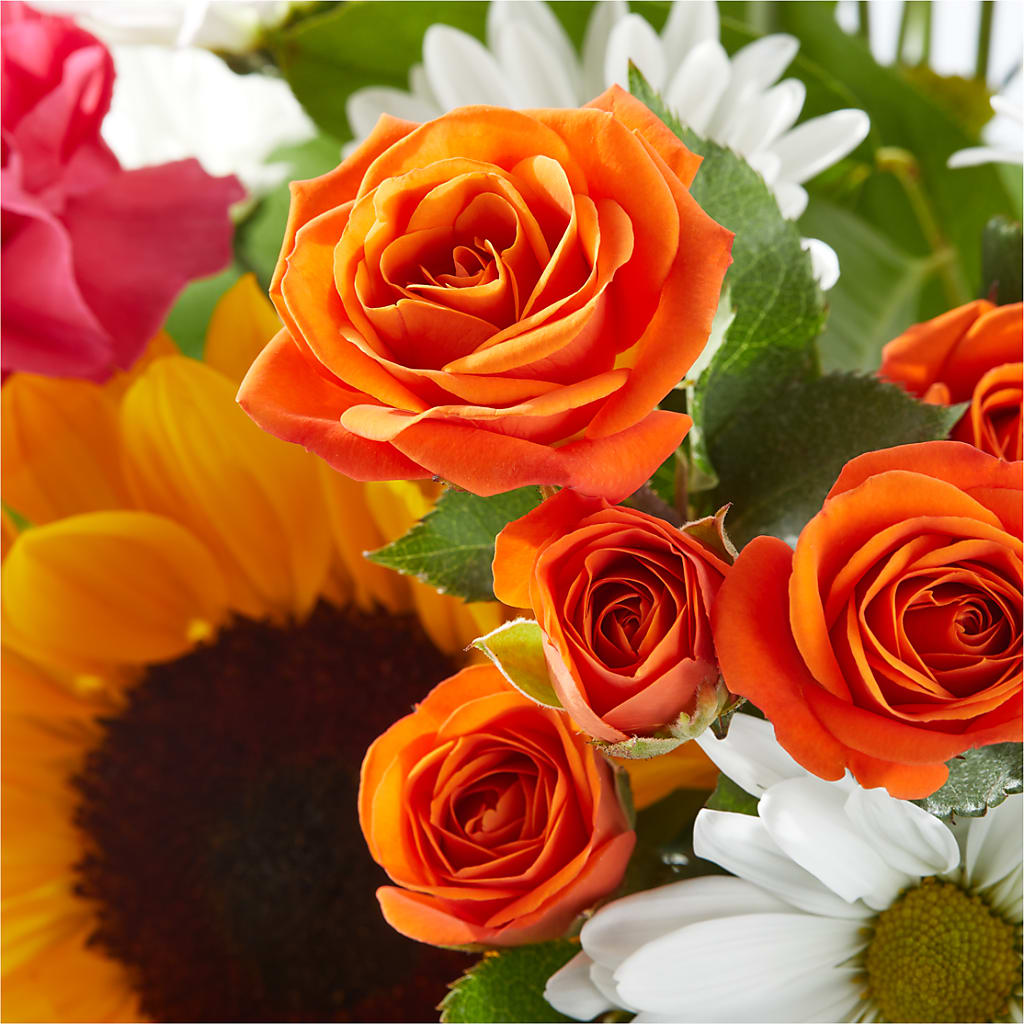 Sun-drenched Blooms Bouquet –  Cg Rain Florist, Cedar Grove NJ