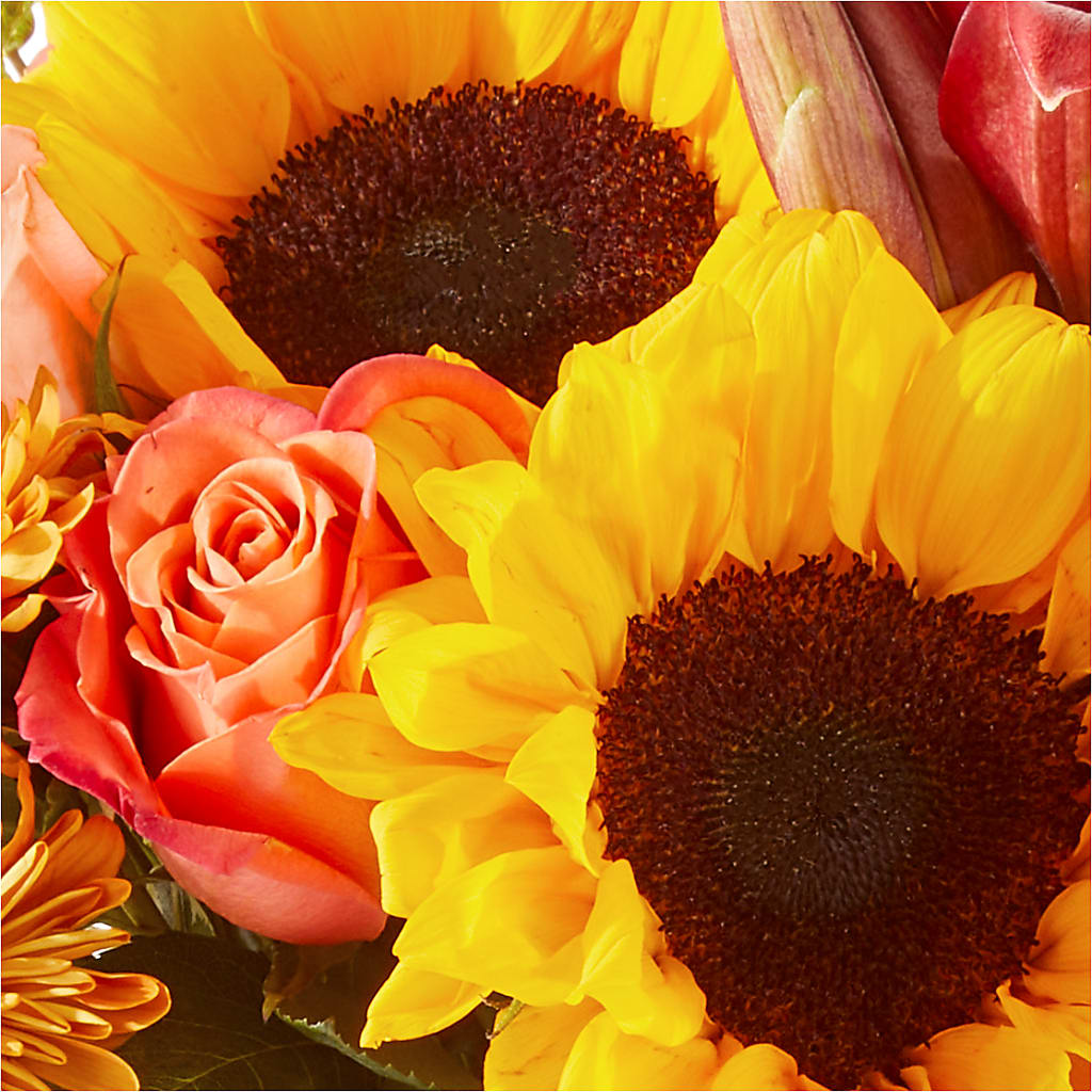 Acorn Lane Bouquet –  Cg Rain Florist, Cedar Grove NJ