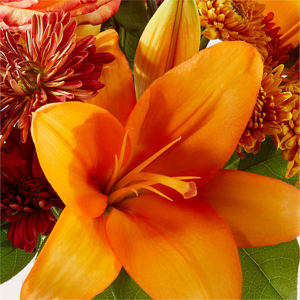 Autumnal Aroma Bouquet –  Cg Rain Florist, Cedar Grove NJ