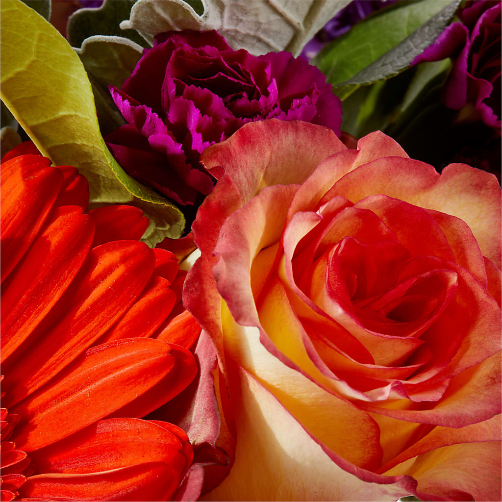 Sangria Bouquet –  Cg Rain Florist, Cedar Grove NJ