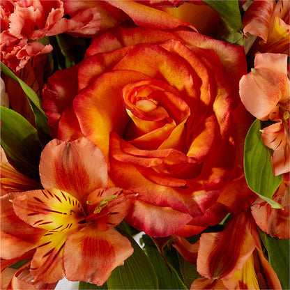 Apricot Glow Bouquet –  Cg Rain Florist, Cedar Grove NJ