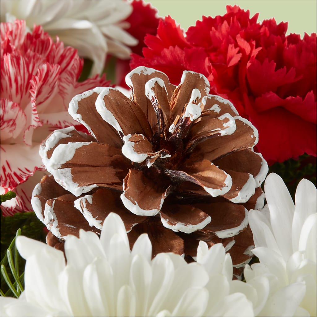 Candy Cane Lane Bouquet –  Cg Rain Florist, Cedar Grove NJ