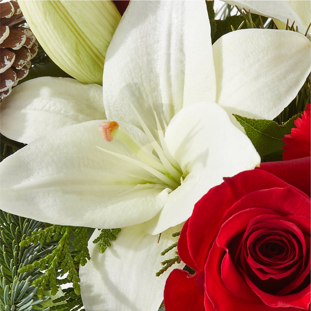Oh So Jolly Bouquet –  Cg Rain Florist, Cedar Grove NJ