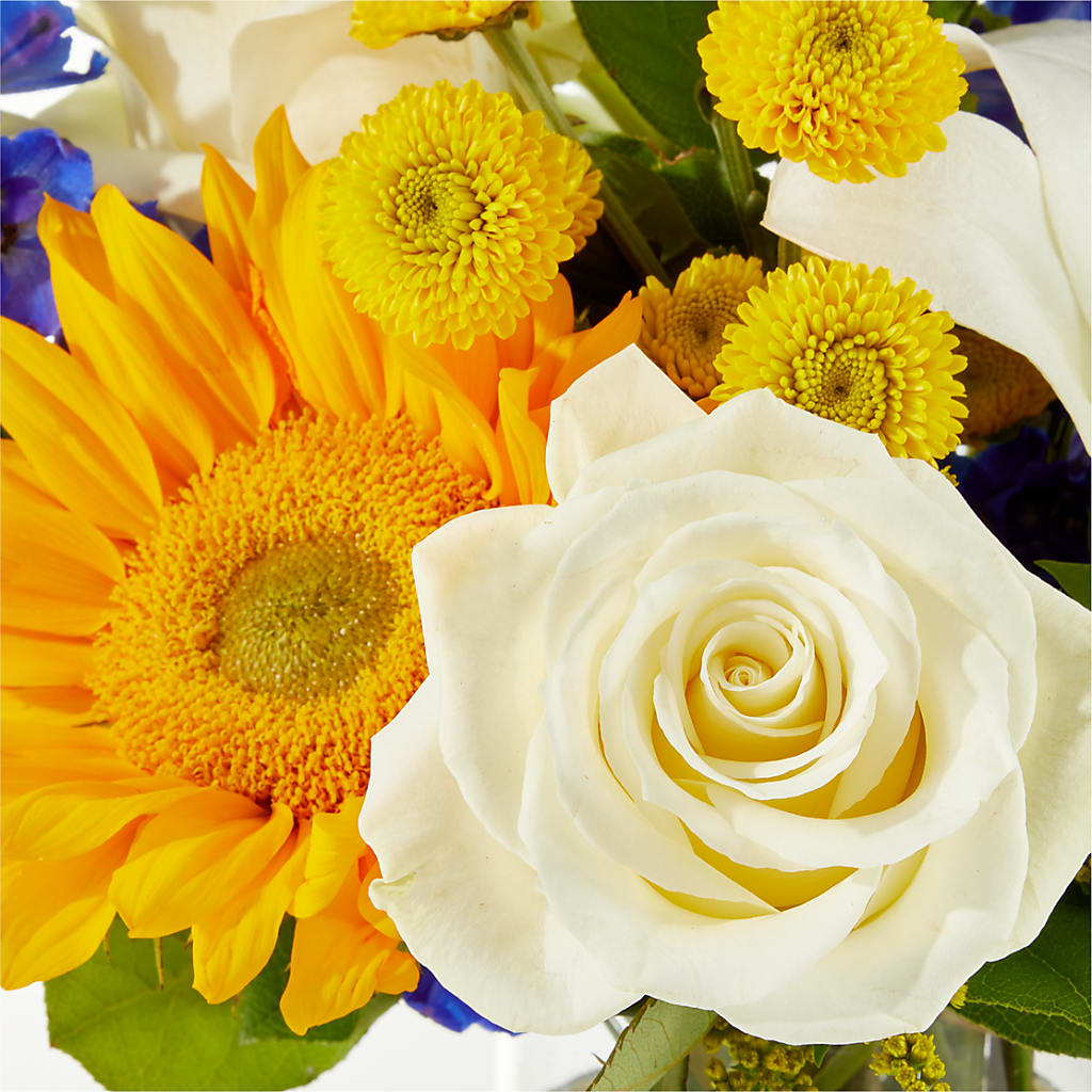 Stargazing Bouquet –  Cg Rain Florist, Cedar Grove NJ