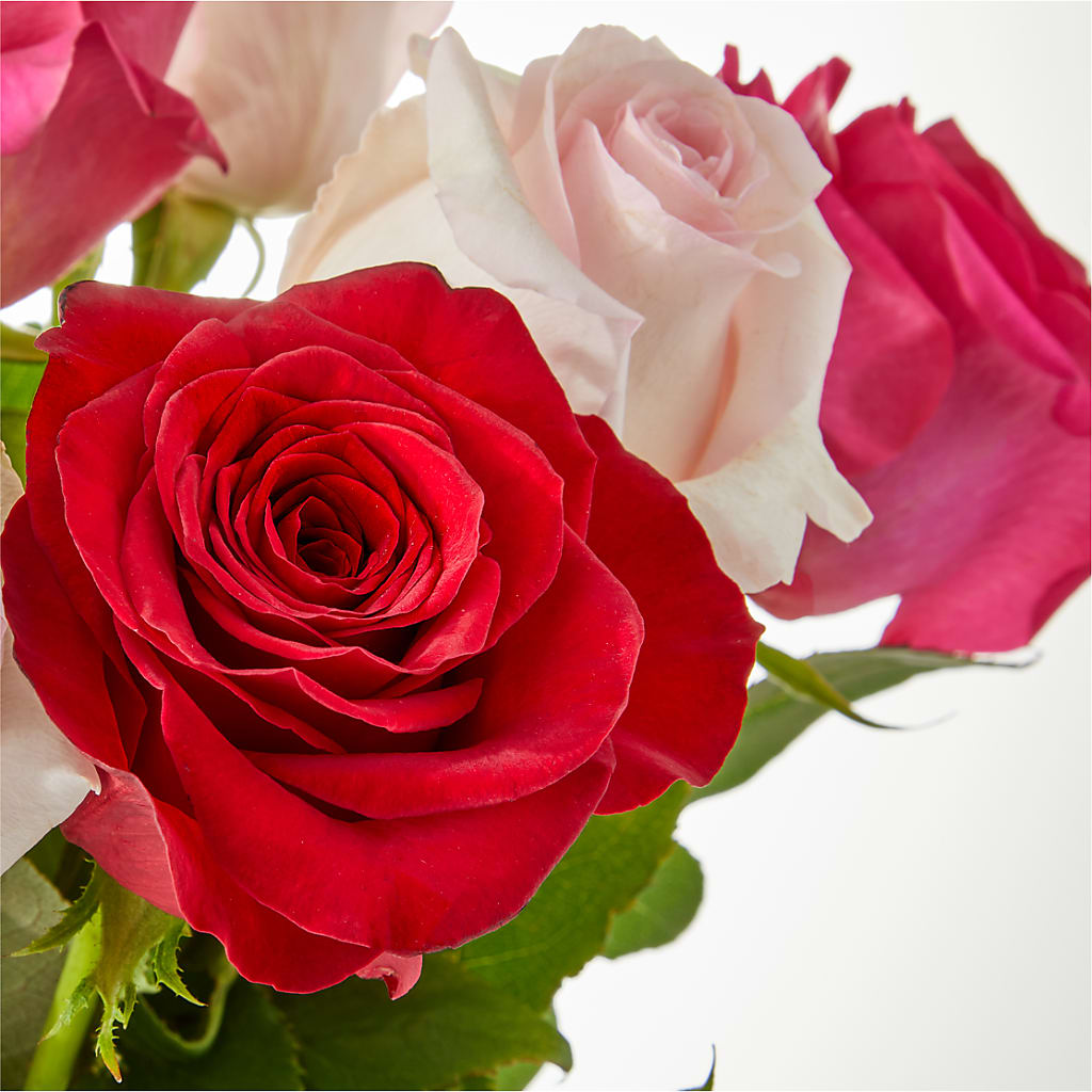 Charming Rose Bouquet –  Cg Rain Florist, Cedar Grove NJ