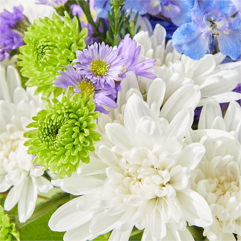 Genuine Gestures Bouquet –  Cg Rain Florist, Cedar Grove NJ