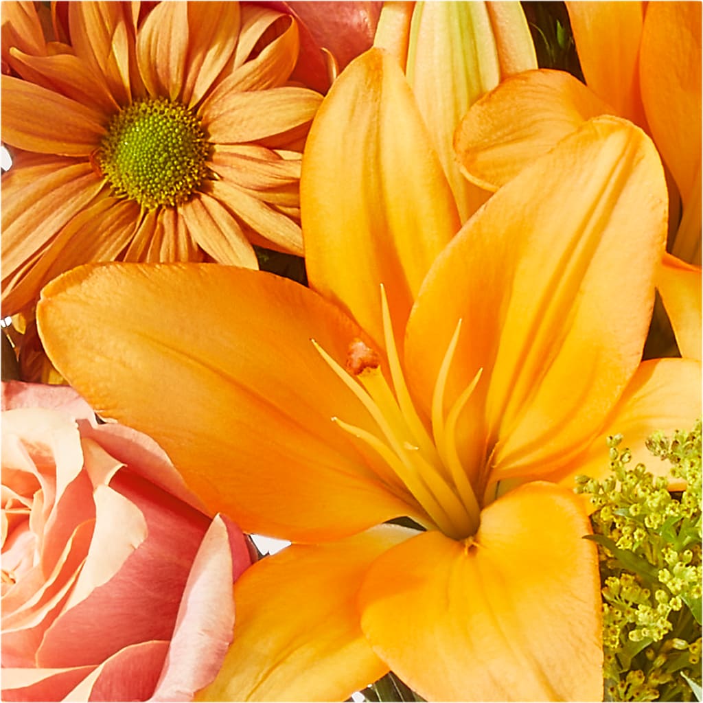 Harvest Hayride Bouquet –  Cg Rain Florist, Cedar Grove NJ