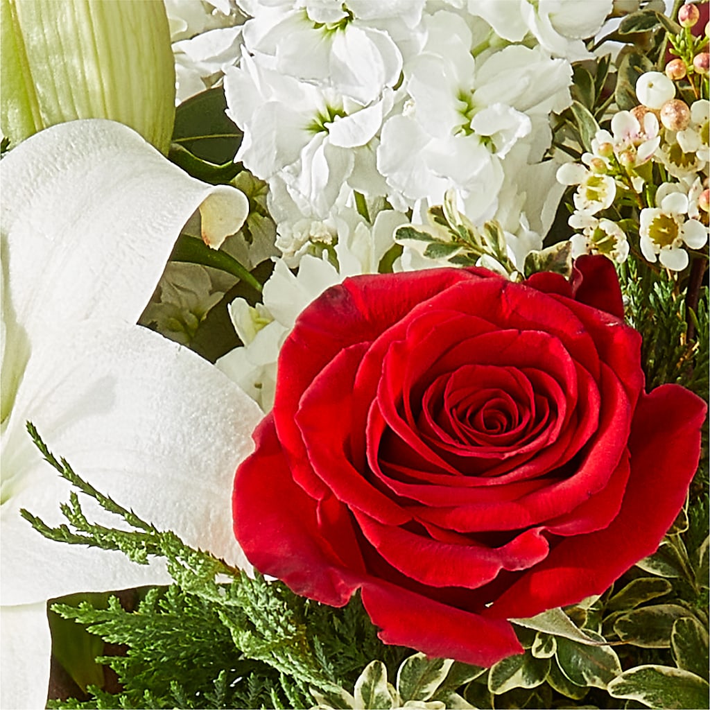 Twinkle Lights Bouquet –  Cg Rain Florist, Cedar Grove NJ
