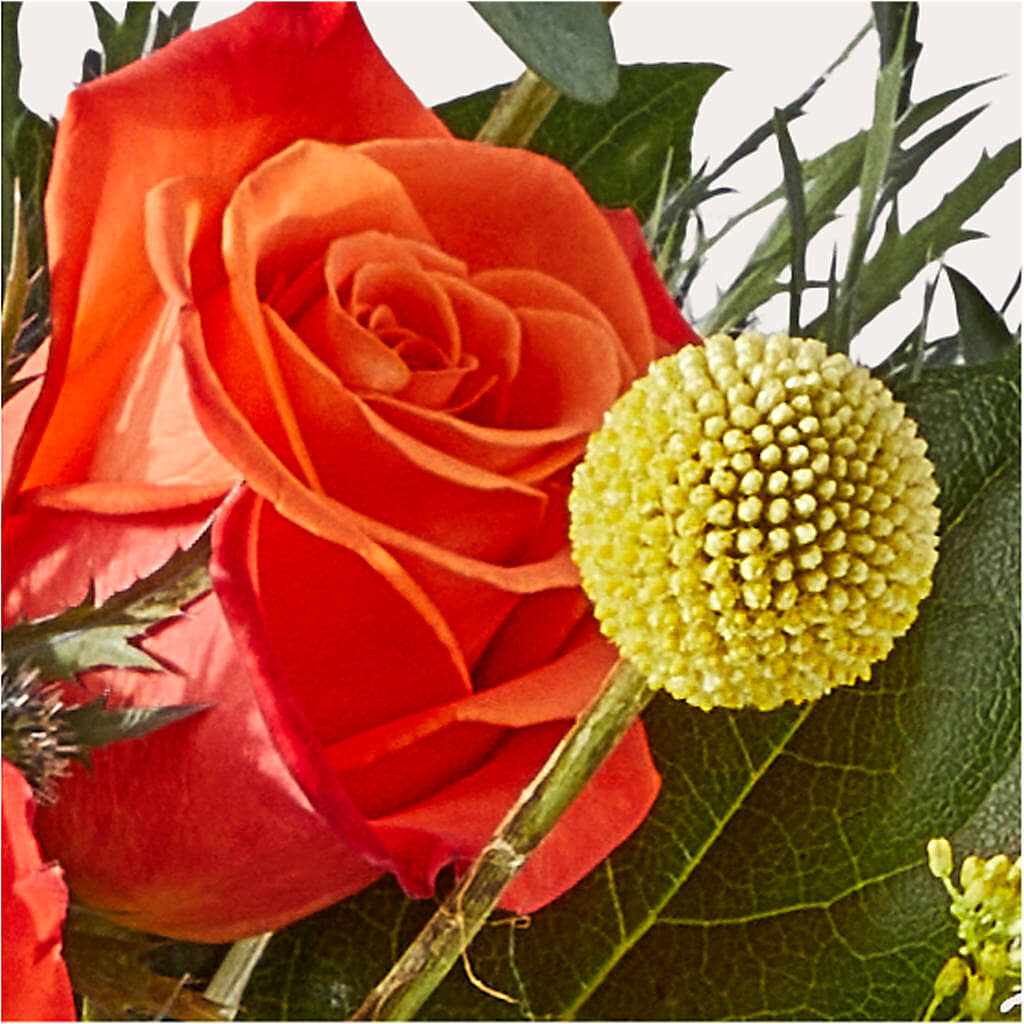 Disco Bouquet –  Cg Rain Florist, Cedar Grove NJ