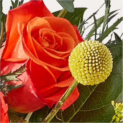 Disco Bouquet –  Cg Rain Florist, Cedar Grove NJ