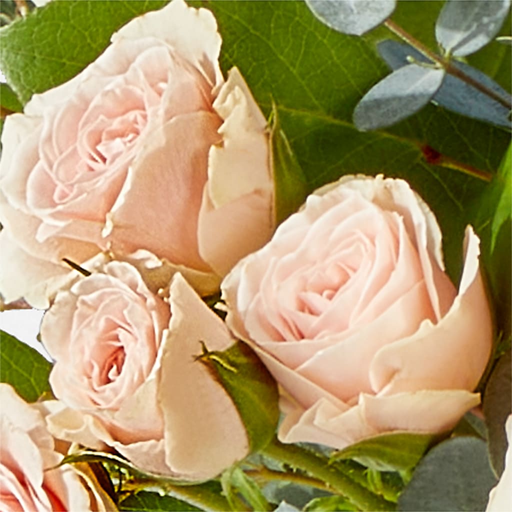 Inspired Bouquet –  Cg Rain Florist, Cedar Grove NJ