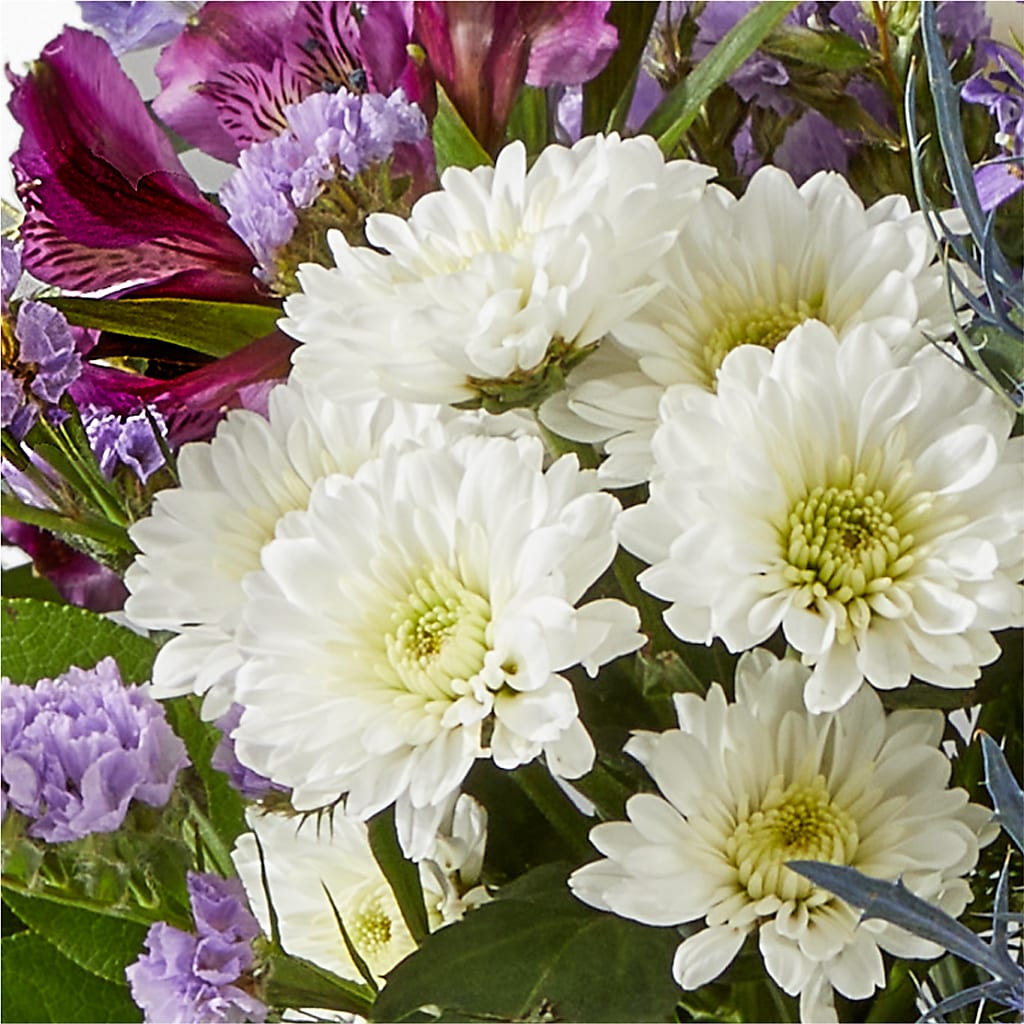 Shooting Star Bouquet –  Cg Rain Florist, Cedar Grove NJ