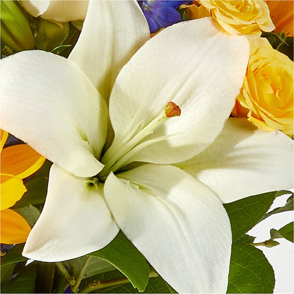 Wonderfully Sunny Bouquet –  Cg Rain Florist, Cedar Grove NJ