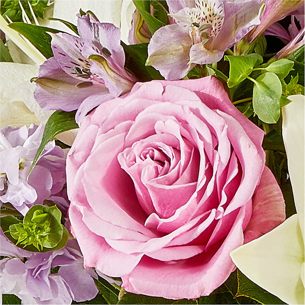 Daydreamer Bouquet –  Cg Rain Florist, Cedar Grove NJ