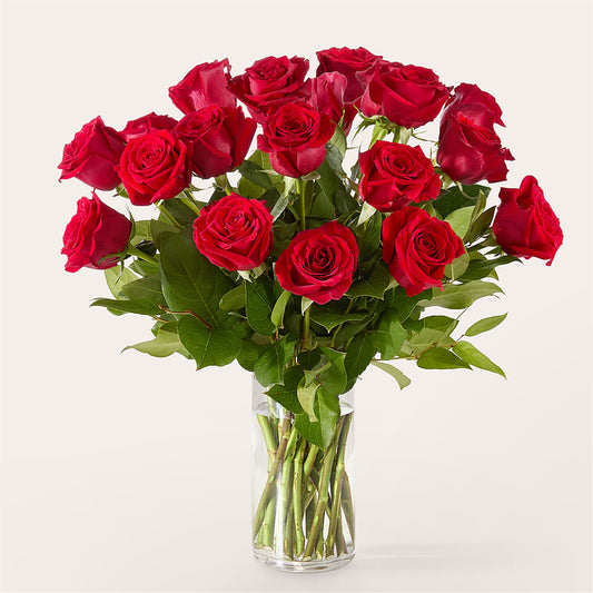 The One Red Rose Bouquet –  Cg Rain Florist, Cedar Grove NJ