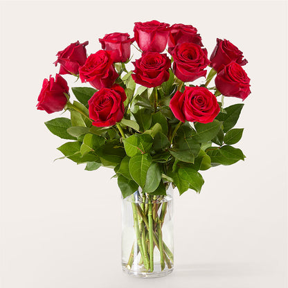 The One Red Rose Bouquet –  Cg Rain Florist, Cedar Grove NJ