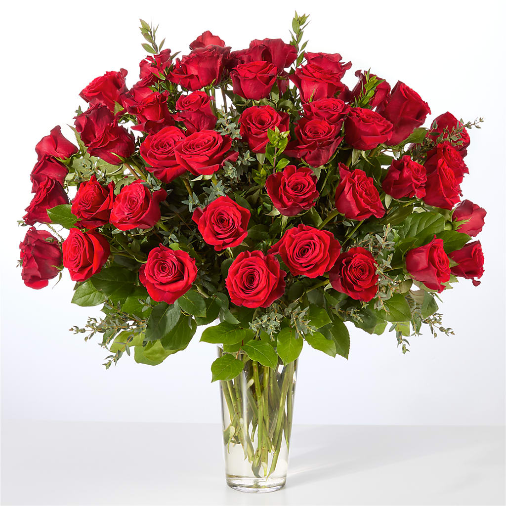 Forever Yours Fifty Stem Red Rose Bouquet –  Cg Rain Florist, Cedar Grove NJ