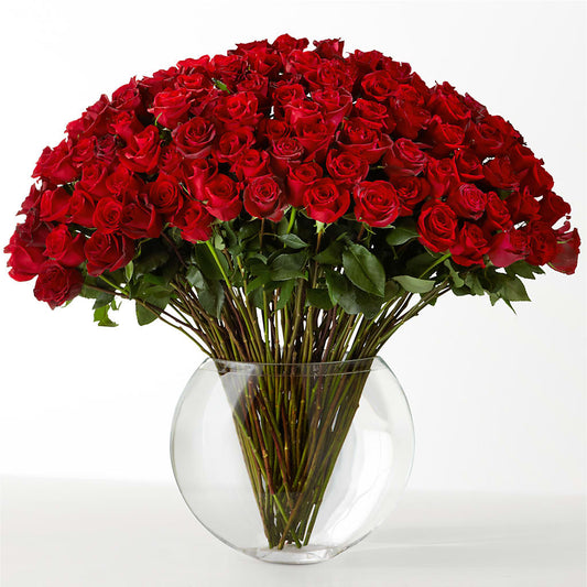 The Idealist –  Cg Rain Florist, Cedar Grove NJ