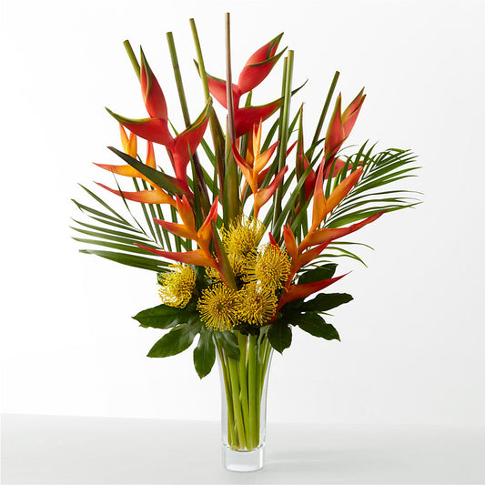 The Drama –  Cg Rain Florist, Cedar Grove NJ