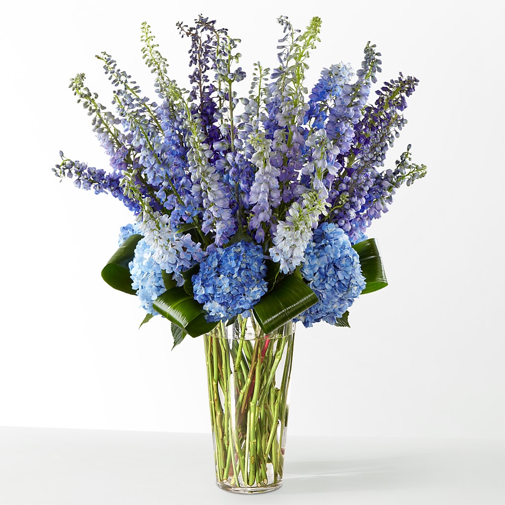 The Editorial –  Cg Rain Florist, Cedar Grove NJ