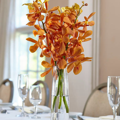 Orange Mokara Bud Vase –  Cg Rain Florist, Cedar Grove NJ