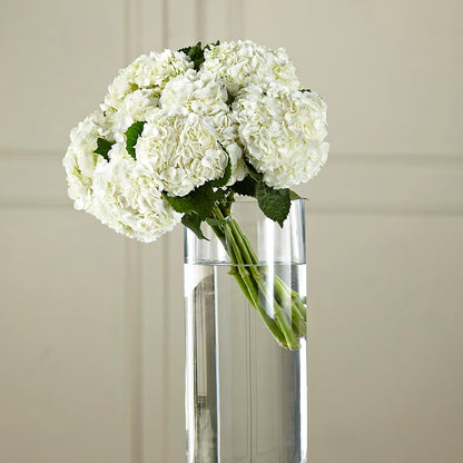 White Hydrangea Hand-Tied Bouquet –  Cg Rain Florist, Cedar Grove NJ