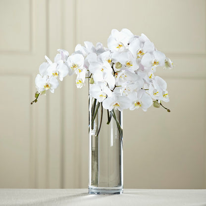 White Phalaenopsis Bouquet –  Cg Rain Florist, Cedar Grove NJ