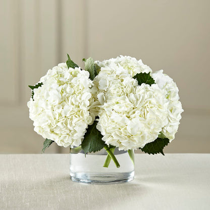White Hydrangea Bouquet –  Cg Rain Florist, Cedar Grove NJ