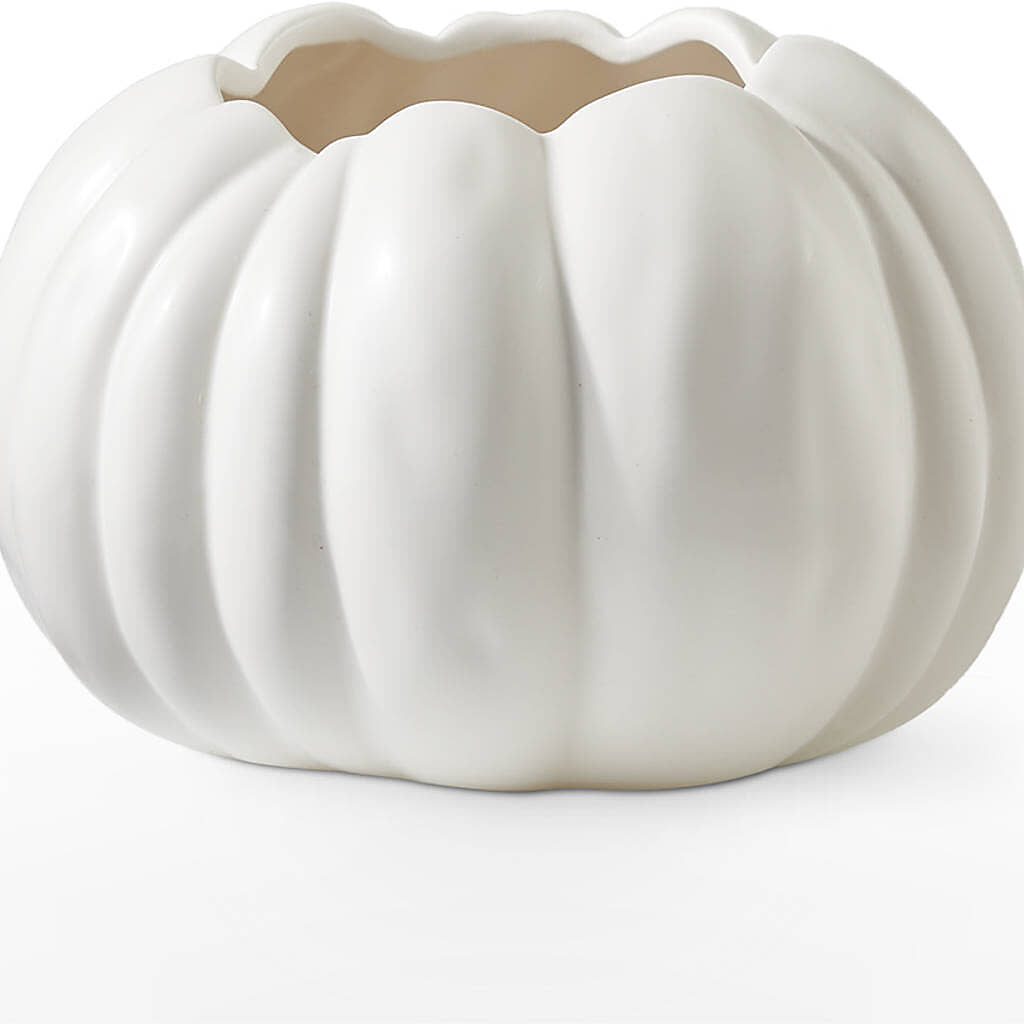 Autumn Air Pumpkin Bouquet –  Cg Rain Florist, Cedar Grove NJ